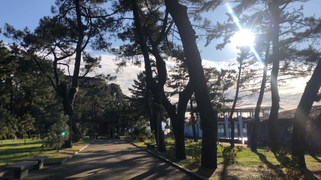 Hotel Palermo Kobuleti Esterno foto